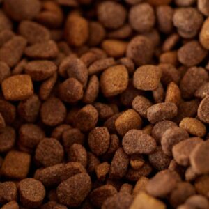 Origine Canina Mantenimento – Crocchette Super Premium per Cani Adulti con Maiale