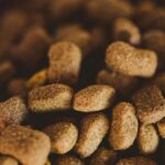 Origine Canina Monoproteico Salmone – Crocchette Ipoallergeniche per Cani con Riso