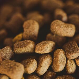 Origine Canina Monoproteico Salmone – Crocchette Ipoallergeniche per Cani con Riso